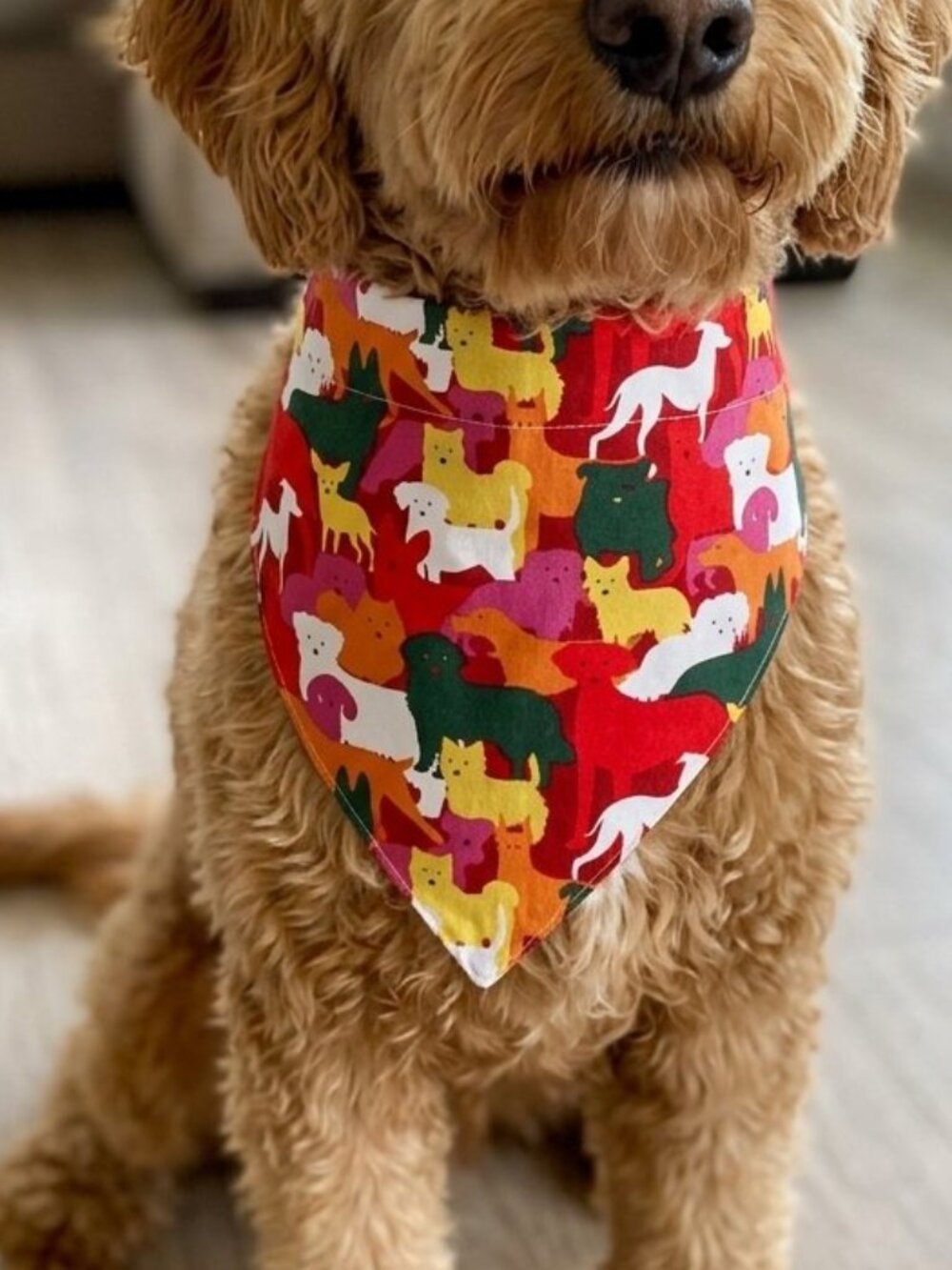 Slip-Over Dog Collar Bandana Handmade Size M Multicolored Dog Accessory